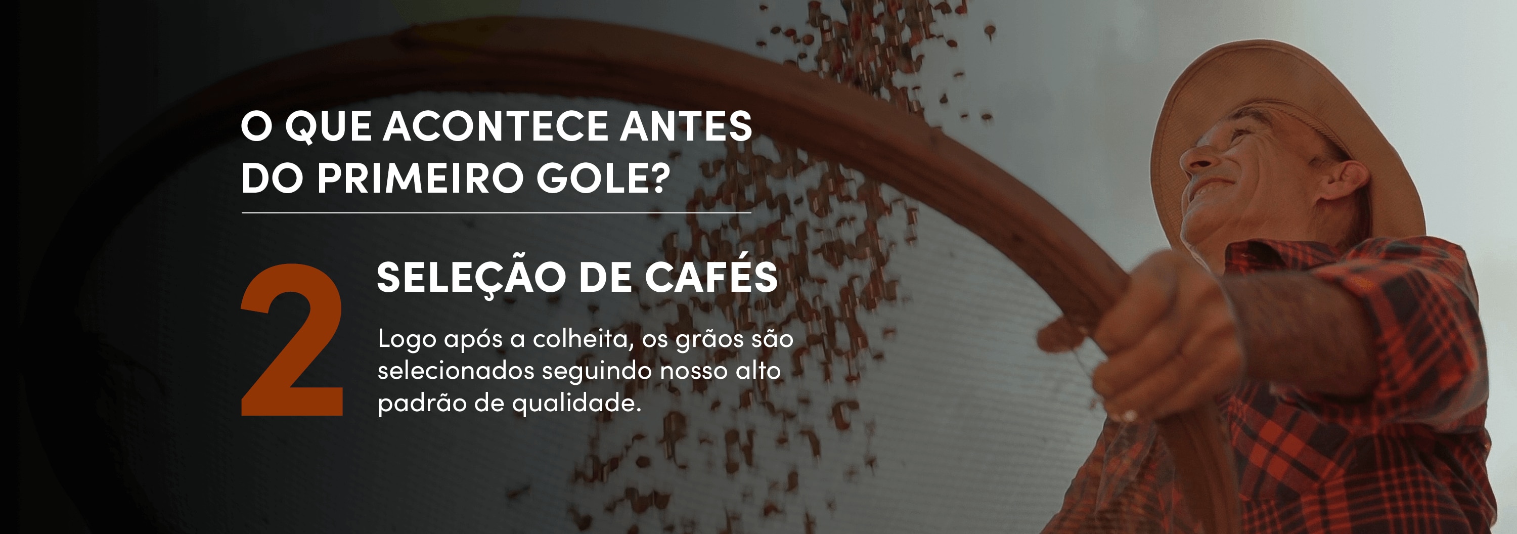 O que acontece antes do primeiro gole? 2- Seleção de cafés