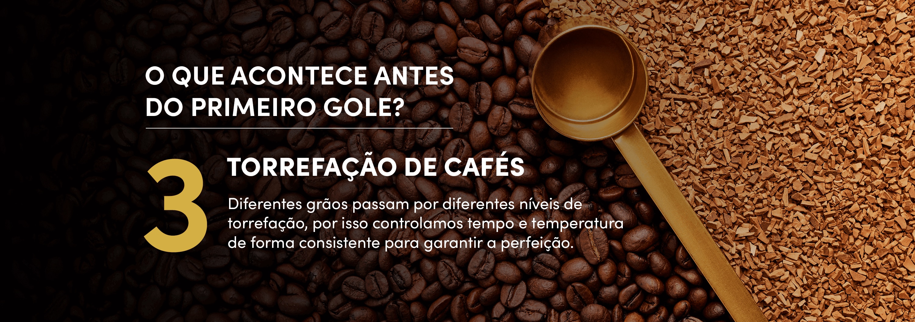 O que acontece antes do primeiro gole? 3- Torrefação de cafés