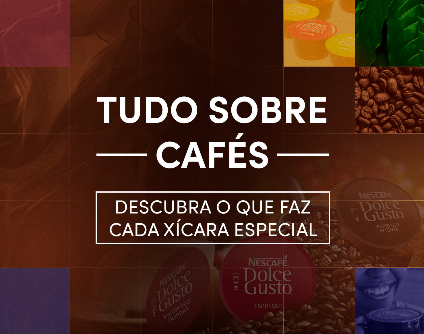 Tudo sobre cafés - descubra o que faz cada xícara especial!