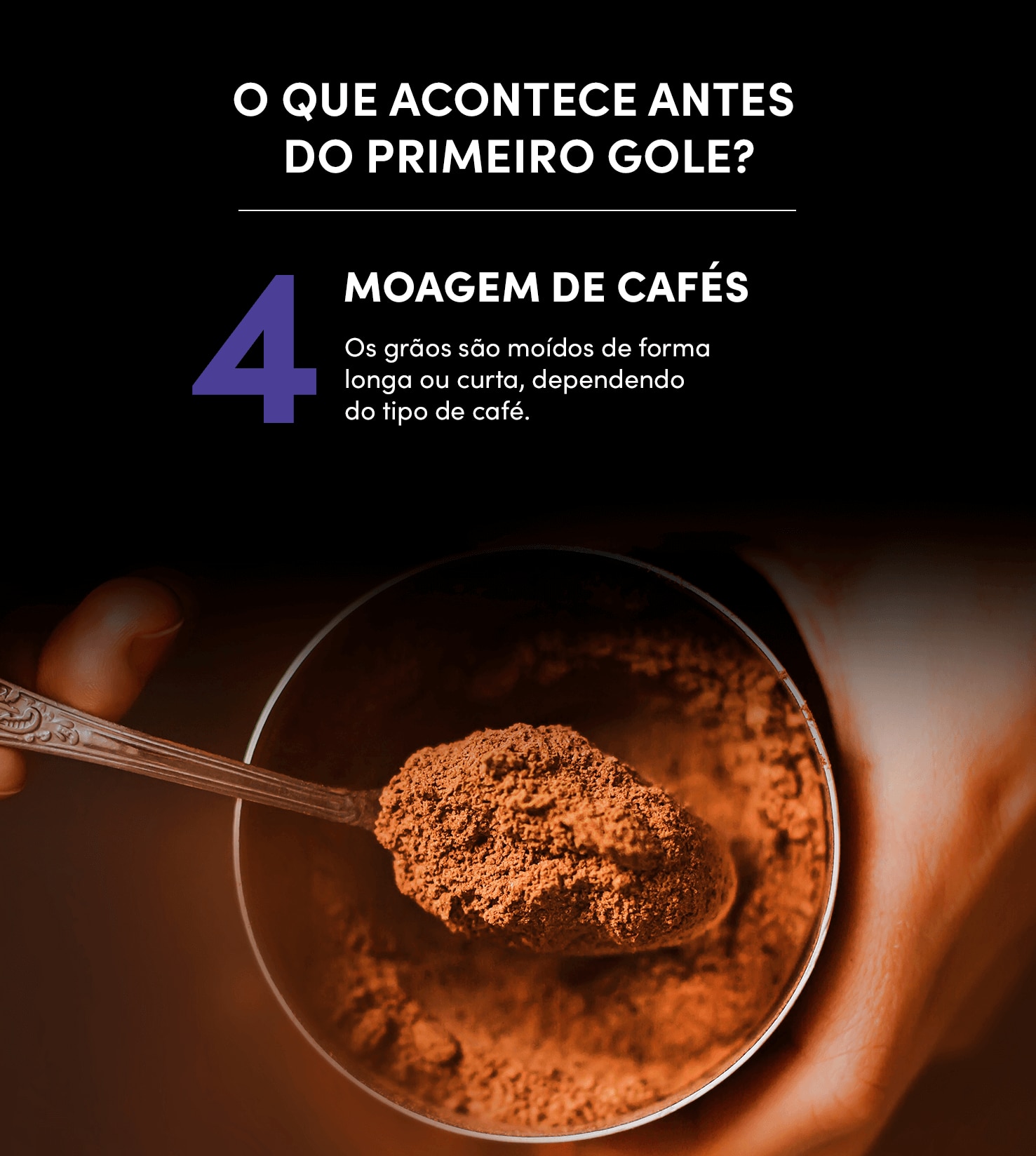 O que acontece antes do primeiro gole? 4- Moagem de cafés