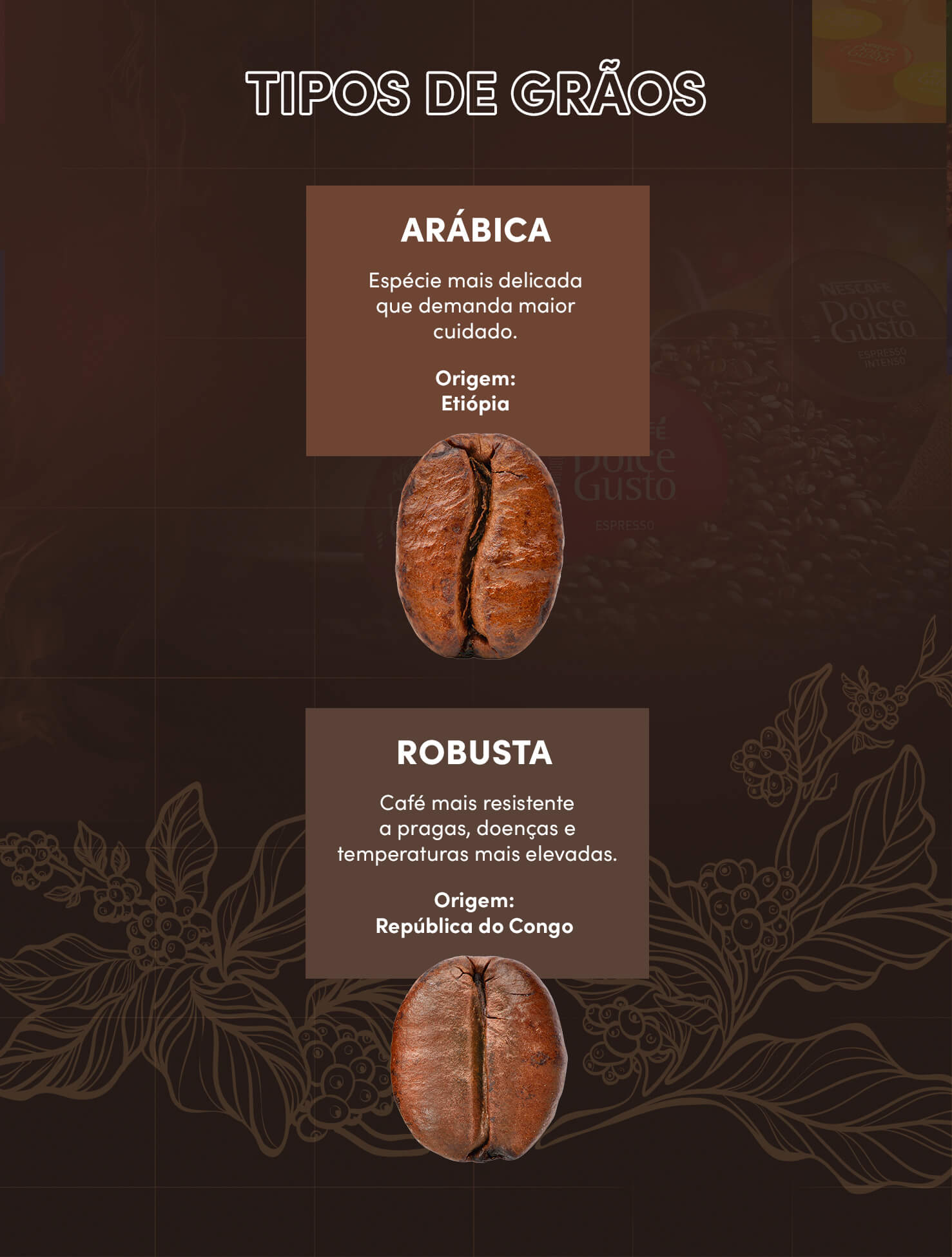 Tipos de grãos: arábica e robusta